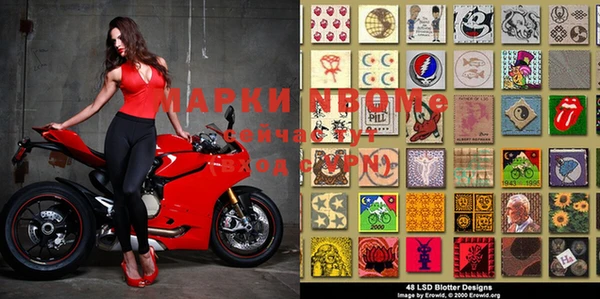 прущие грибы Абдулино