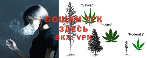 прущие грибы Абдулино