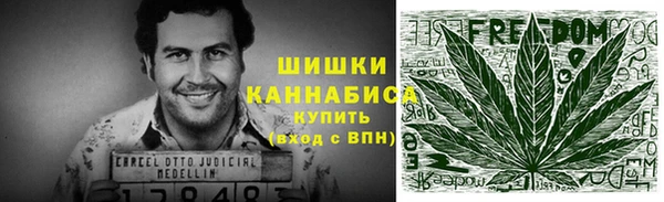 прущие грибы Абдулино