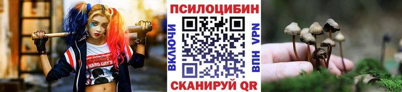 Псилоцибиновые грибы Psilocybe  Агидель 